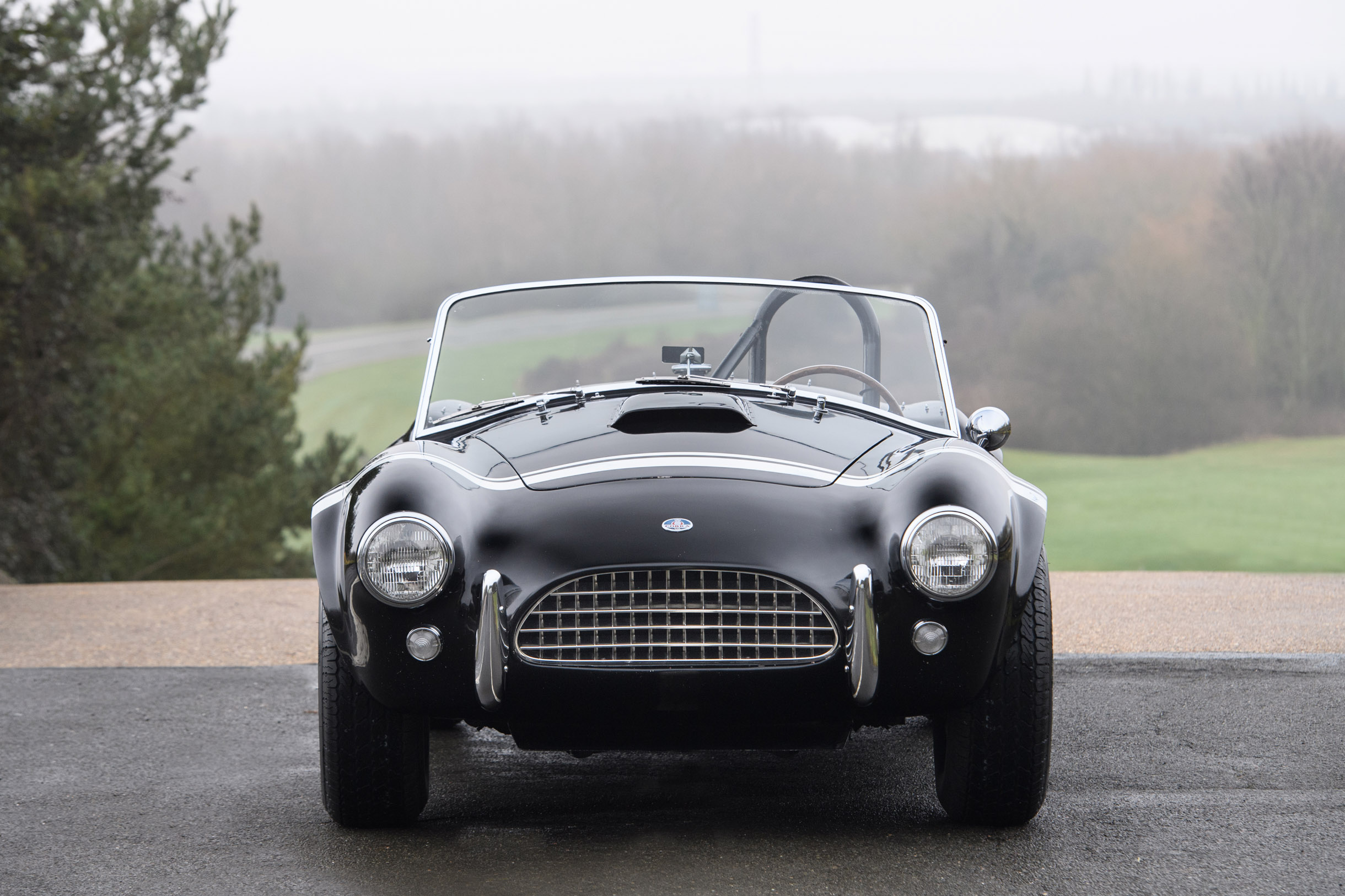 1963 AC Cobra 289 Previously Sold | FISKENS